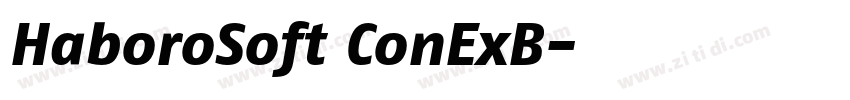 HaboroSoft ConExB字体转换